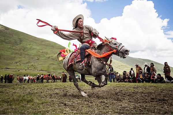 Tibet war horse
